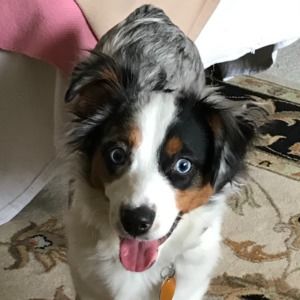 Meet your Posher, Janina